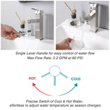 Aquaterior Single-Hole Faucet Chrome 1-Handle Square 8"H