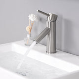 Aquaterior Single-Hole Faucet Brushed Nickel 1-Handle 7.5"H