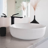 Aquaterior Bathroom Faucet Gold Black Gray Options 12"H